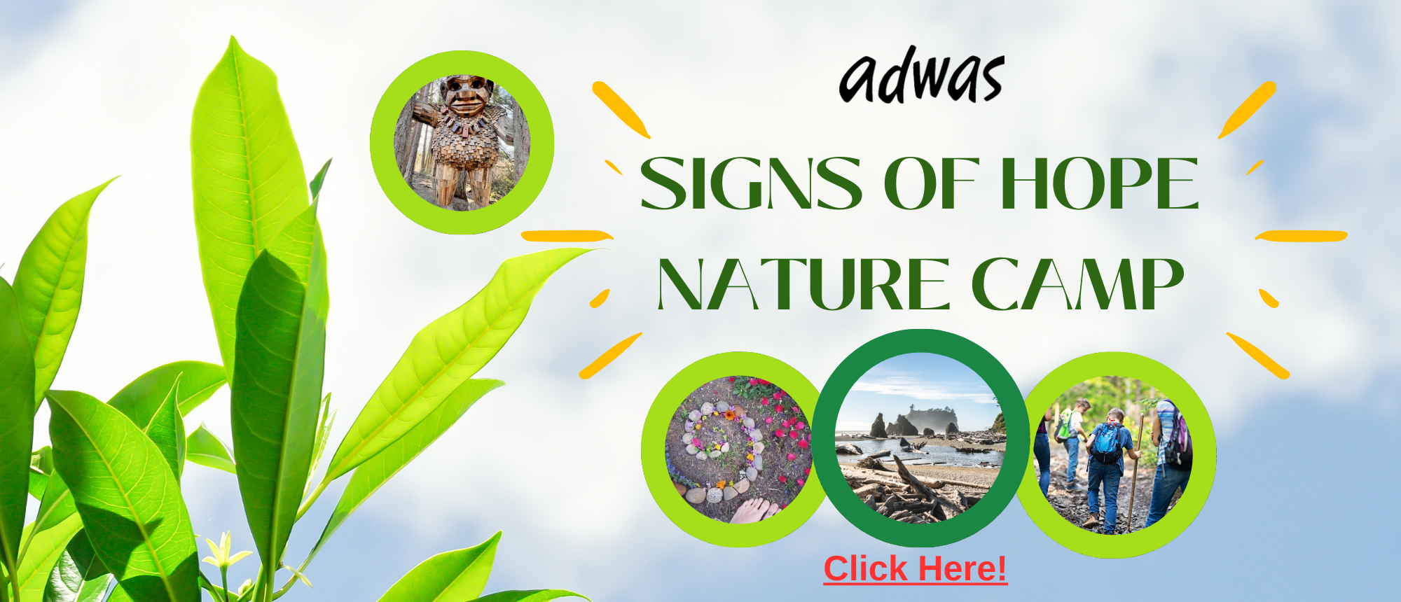 Image Description: banner style, background with clouds, on left is image of plants. Top mid left center is a circled image of a wood troll. Followed with black ADWAS logo, underneath is green text, "SIGNS OF HOPE NATURE CAMP". Below text is three circles with images inside. First left circle, seashells arranged in a spiral circle, with red flowers, second image in center, a photo of a beach with huge rocks in the background, third image on left, picture of people hiking on a trail."